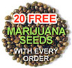 free seeds