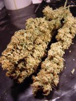 sheherazade3 sherherazade marijuana