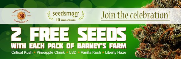 2 free marijuana seeds from Barney's Farm Seed Company