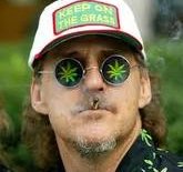 light of jah cannabis seeds disclaimer
